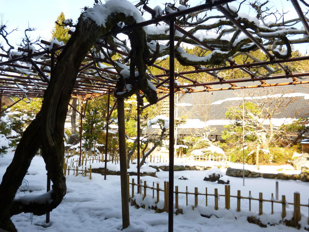 高野山 宿坊 熊谷寺 -Koyasan Shukubo Kumagaiji- Wakayama Exteriör bild